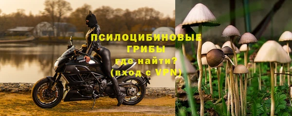 mdpv Армянск