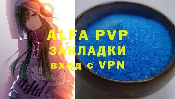 стаф Ростов