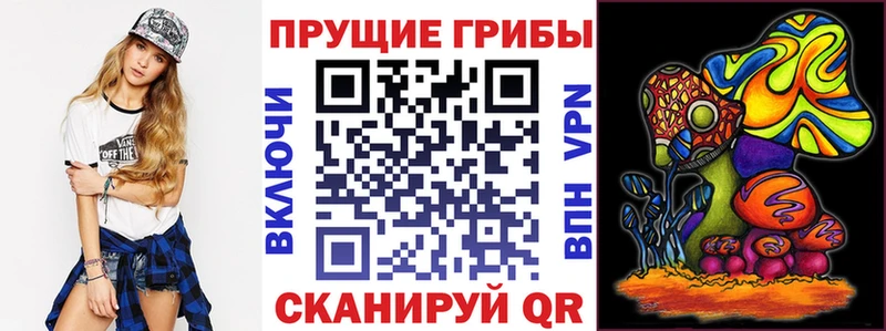 Псилоцибиновые грибы Cubensis  Бокситогорск 